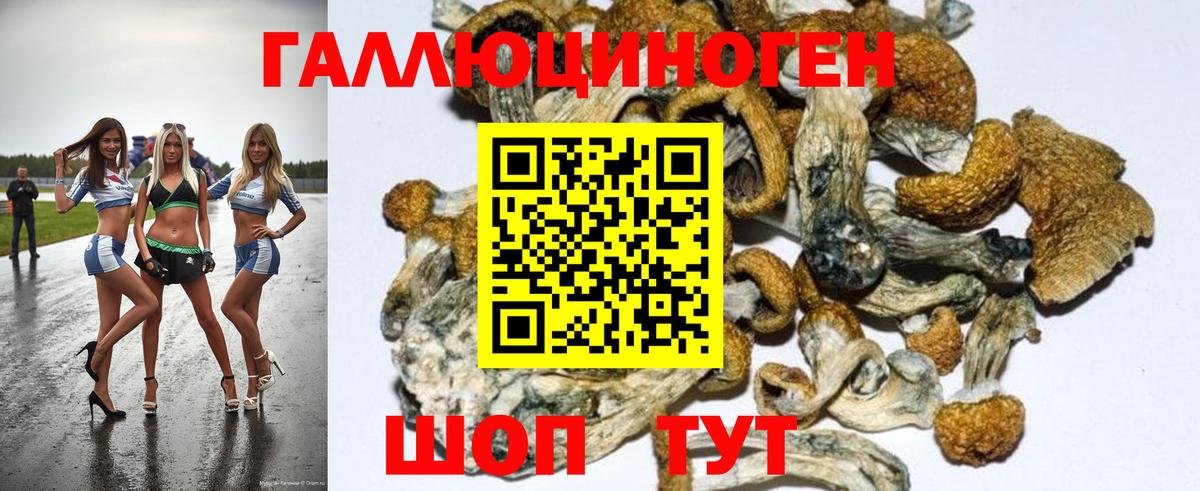 Галлюциногенные грибы Psilocybe  Галлюциногенные грибы GOLDEN TEACHER  Вход с VPN  Обнинск 