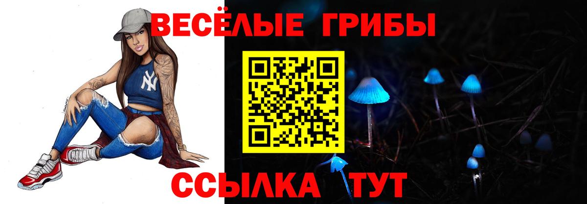 Псилоцибиновые грибы Psilocybine cubensis Обнинск